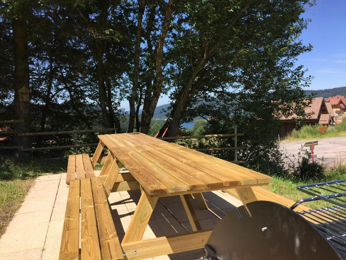 Chalet Le Flocon Bleu - Mauselaine Avec Vue Sur Le Lac De Gerardmer Exterior photo