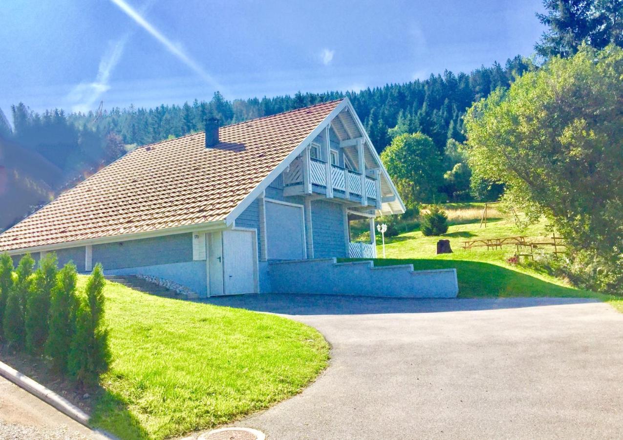 Chalet Le Flocon Bleu - Mauselaine Avec Vue Sur Le Lac De Gerardmer Exterior photo