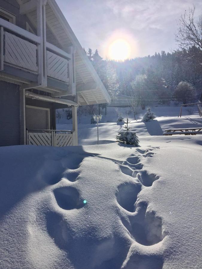 Chalet Le Flocon Bleu - Mauselaine Avec Vue Sur Le Lac De Gerardmer Exterior photo